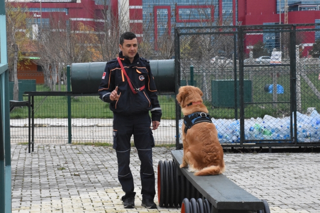 Hayat kurtaran köpeklerin zorlu eğitimi