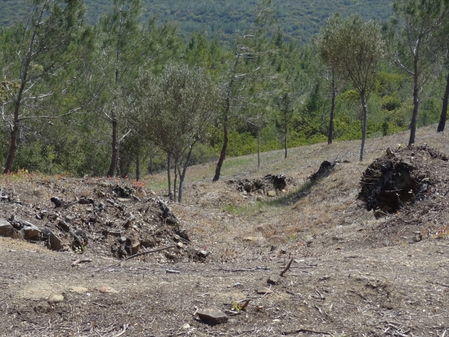 Ortaya çıkarılan Anzak siperleri ziyaret edilebilecek