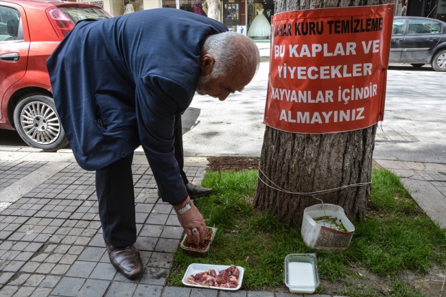 Her gün beslediği sokak hayvanlarına çocukları gibi bakıyor