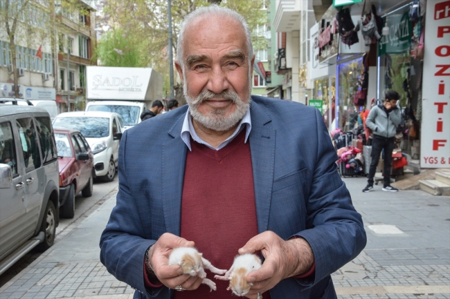 Her gün beslediği sokak hayvanlarına çocukları gibi bakıyor