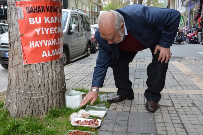 Her gün beslediği sokak hayvanlarına çocukları gibi bakıyor