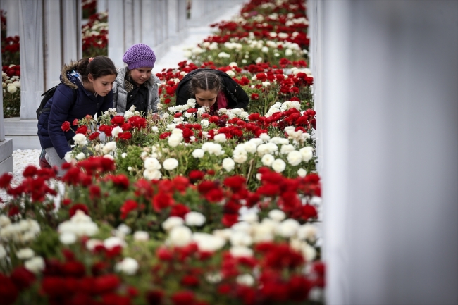 Tarihi Gelibolu Yarımadası çocukları ağırlıyor