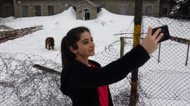 Sarıkamış'ta aç kalan ayı yavrusu ilçeye indi