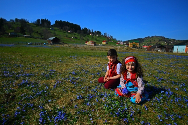 "Mavi yıldız" çiçekleriyle Kadıralak Yaylası