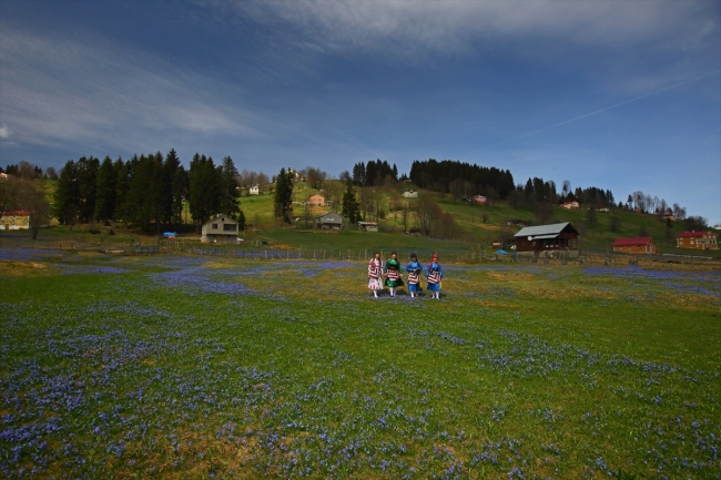 "Mavi yıldız" çiçekleriyle Kadıralak Yaylası