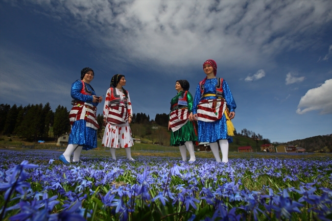 "Mavi yıldız" çiçekleriyle Kadıralak Yaylası