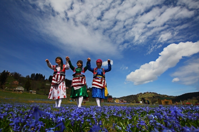 "Mavi yıldız" çiçekleriyle Kadıralak Yaylası