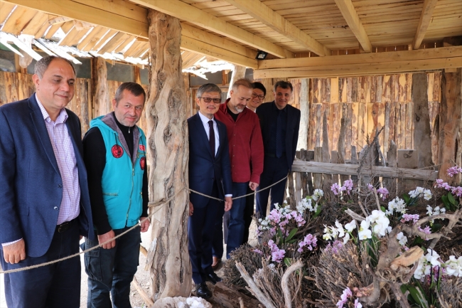 Burdur'da Tayvan orkideleri bahçesi açıldı