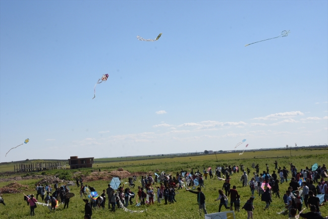 Suriye sınırında uçurtma şenliği