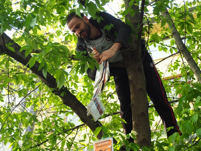 Kocaeli'de ağaçlar kitap açtı