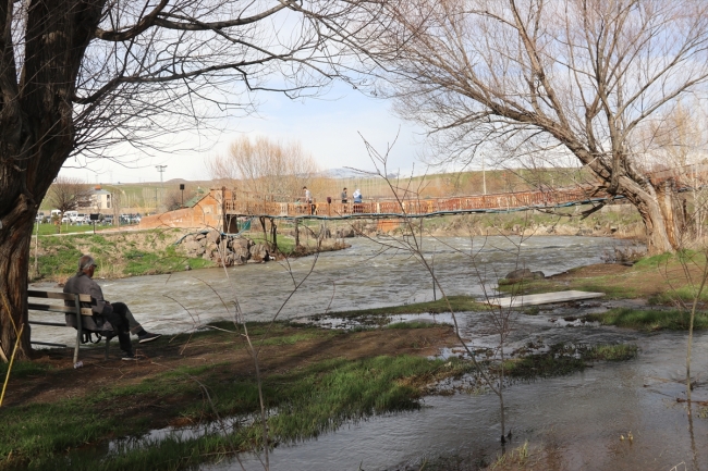 Vatandaşları "balıkların göçü" heyecanı sardı
