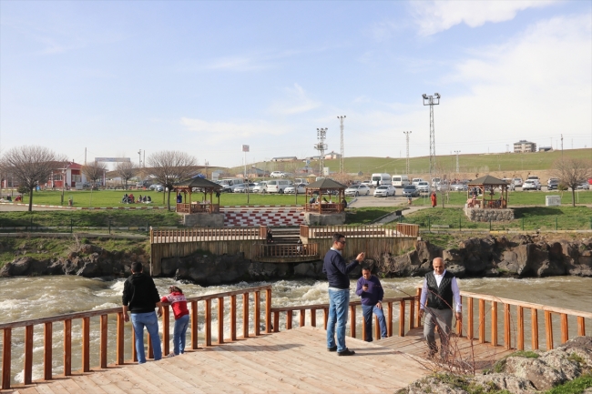 Vatandaşları "balıkların göçü" heyecanı sardı