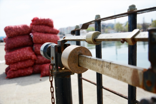 Balıkçılar yüzünü salyangoza döndü