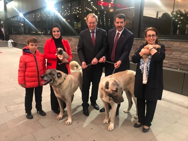 AB Türkiye Delegasyonu Başkanı Berger'den Sivas'a ziyaret