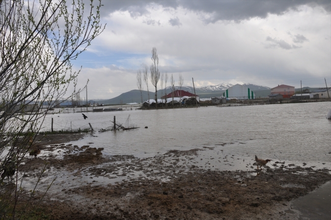 Muş'ta sel: 60 ev tahliye edildi