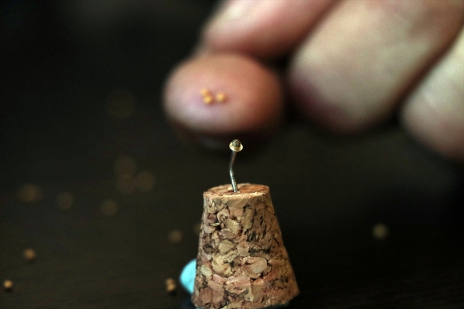 İncir çekirdeğine İhlas suresini yazdı