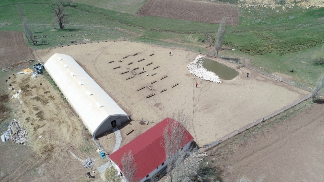 Emekli astsubay köyünde kaz çiftliği kurdu