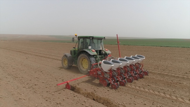 Yerli ve milli tohumlar toprakla buluşuyor