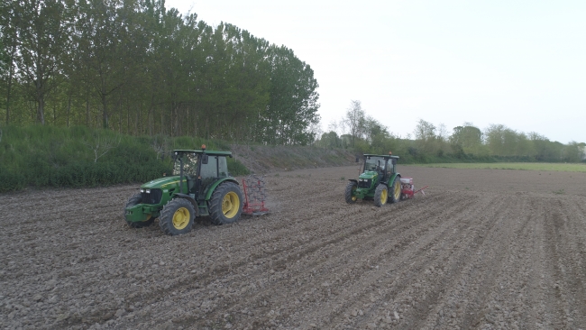 Yerli ve milli tohumlar toprakla buluşuyor