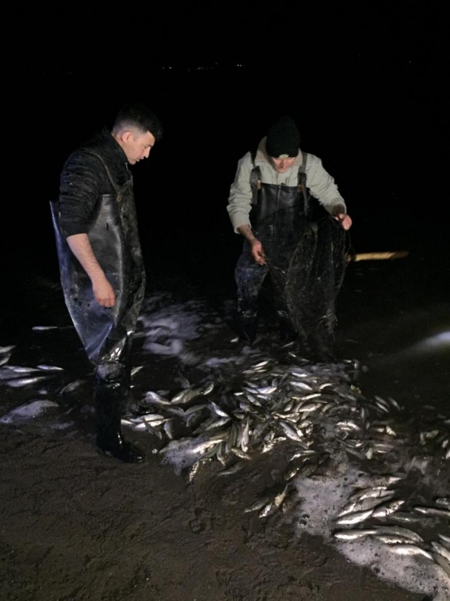 Van Gölü'nde kaçak avcı operasyonu: Yaklaşık 2 ton inci kefali ele geçirildi