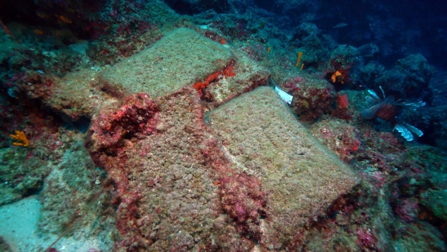 Türkiye'de bulunan dünyanın en eski gemi batığı UNESCO'da tanıtıldı