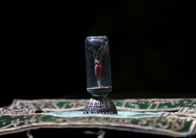 Hırka-i Şerif ziyarete açıldı