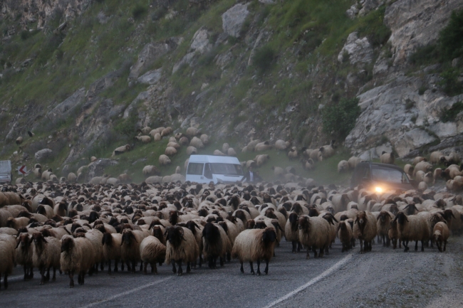 Göçerlerin zorlu yayla yolculuğu başladı
