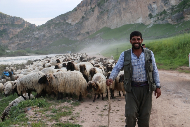 Göçerlerin zorlu yayla yolculuğu başladı