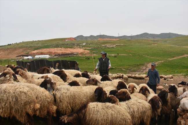 Göçerlerin zorlu yayla yolculuğu başladı