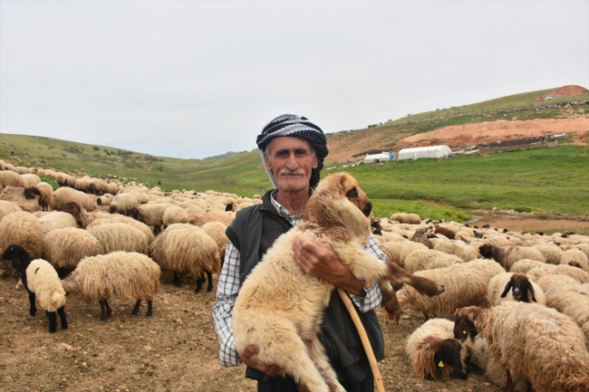 Göçerlerin zorlu yayla yolculuğu başladı