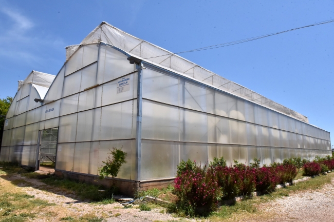 Bu okulda geleceğin seracıları yetiştiriliyor