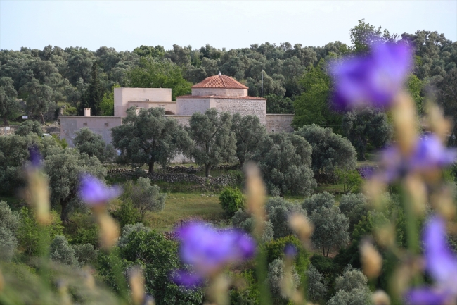 Beçin Antik Kenti'nde 12 ay kazı çalışması yapılacak