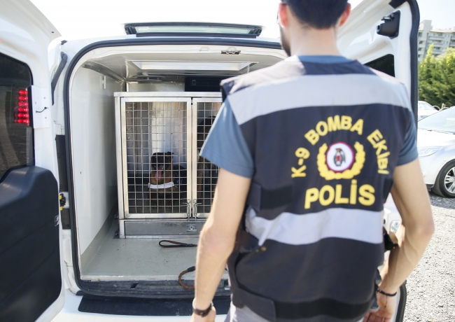 Dedektör köpekler güvenlik güçlerinin en büyük yardımcısı