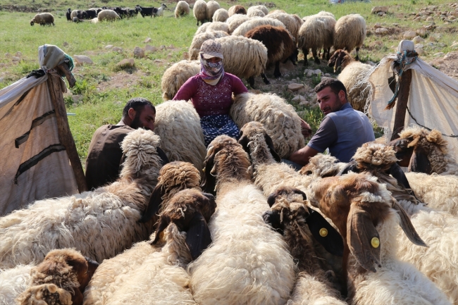 Göçerlerin ramazanda günler süren zorlu yolculuğu