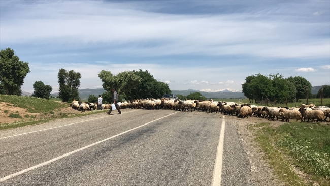 Göçerlerin ramazanda günler süren zorlu yolculuğu