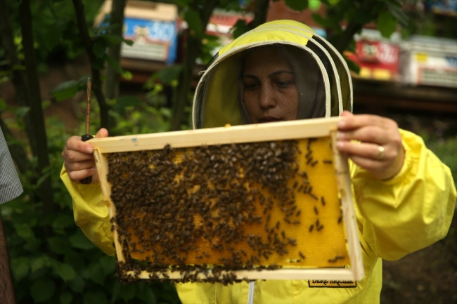 3 çocuk annesi hayallerine arıcılıkla kavuştu