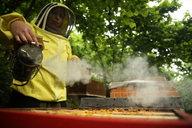3 çocuk annesi hayallerine arıcılıkla kavuştu