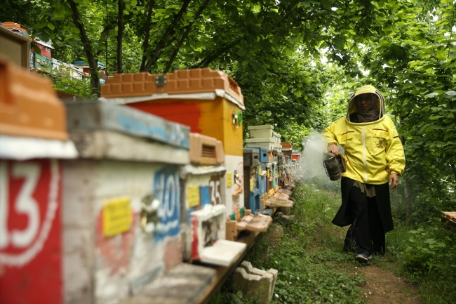 3 çocuk annesi hayallerine arıcılıkla kavuştu