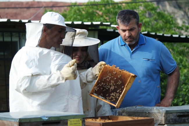 Arıların kovan içindeki yaşantısı "apiturizm" ile öğreniliyor