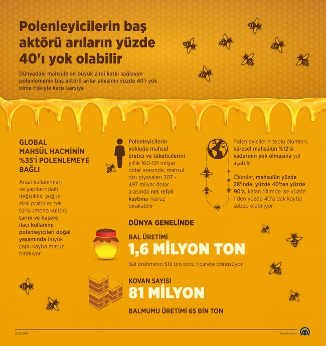 Arıların yüzde 40'ı yok olma riskiyle karşı karşıya