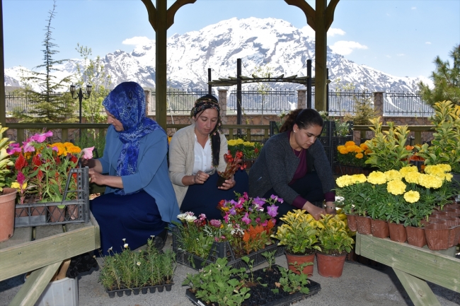 Hakkari'yi 13 kadın süslüyor