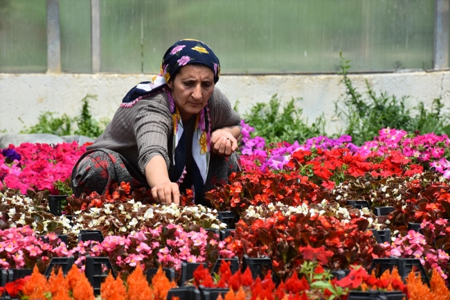 Hakkari'yi 13 kadın süslüyor