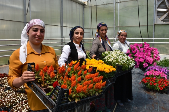 Hakkari'yi 13 kadın süslüyor