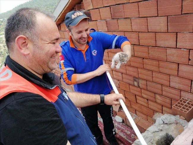 Bacada mahsur kalan kedi yavrusu kurtarıldı