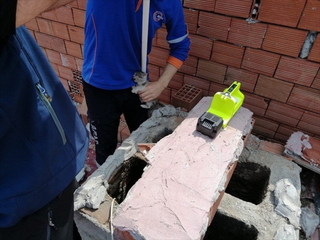 Bacada mahsur kalan kedi yavrusu kurtarıldı