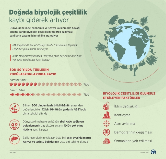 Doğada biyolojik çeşitlilik kaybı giderek artıyor