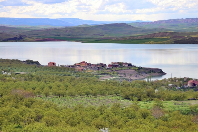 Bereketli yağışlar kayısıda verimi artırdı