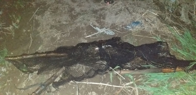 Van'da kaçak avlanılan 1 ton inci kefali suya bırakıldı