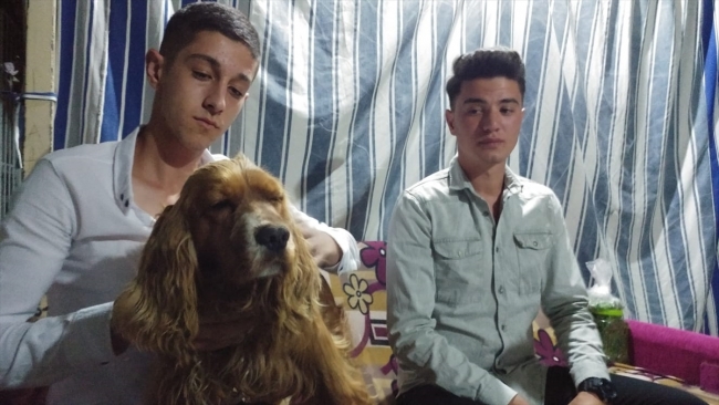 Otomobilin çarptığı köpeğini kalp masajı ile hayata döndürdü