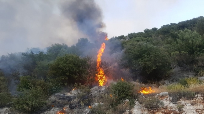 Antalya'da orman yangını